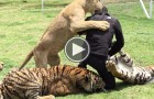 This Man Has A Scary Encounter While Playing With These Wild Tigers